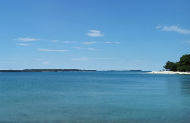 Forest Fairy - Foto 37