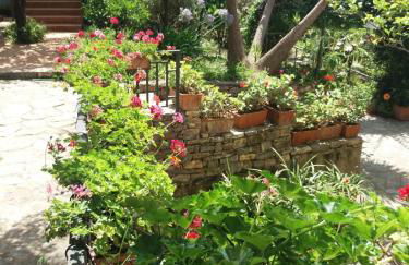 La casa del Maestro - Foto 49