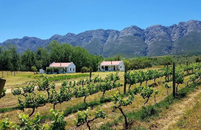 Fraaigelegen Farm - Photo 32