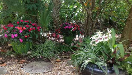 Beach Paradise Getaway - 200ft from Beach! - Foto 3, Garden