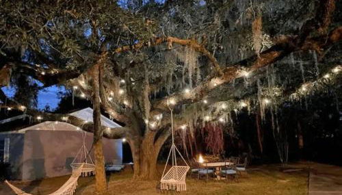 FL's Nature Coast Getaway - 4BR, 2BA, Boat Parking - Foto 3, Garden, Garden view