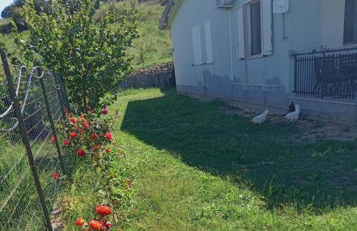 Villetta San Giovanni - Foto 7