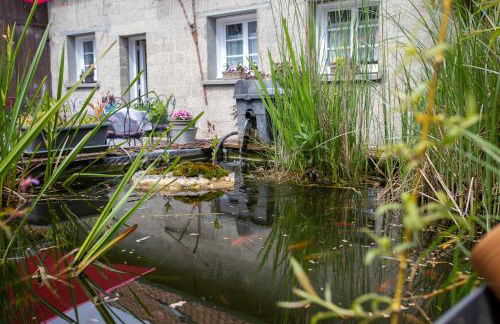 La ferme de Mademoiselle Jeanne - Foto 4