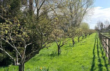 Peacock Barn - Photo 24