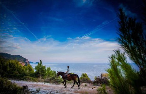 Holiday Home Radovcici Gornje Selo - Foto 35