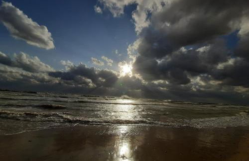 Bio Agriturismo Mare in Campagna - Foto 56