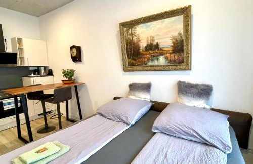 Goldstadt Classic Suite - City Apartament am Schlössle - Foto 30