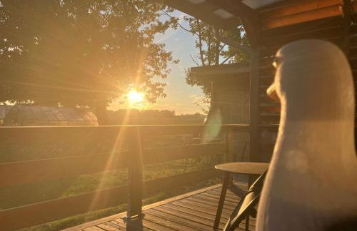 Bungalow Hühnergott beim Boddenstrand - Foto 7