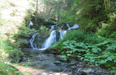 Rötenbacher Wiesen - Foto 25