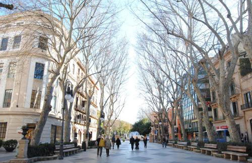 Cream homes La Rambla, TURISMO DE INTERIOR - Photo 38