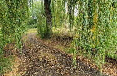 Beautiful Wooden tiny house, Glamping cabin with hot tub 2 - Foto 36