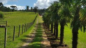 Casa de campo Serra Alta - Foto 3