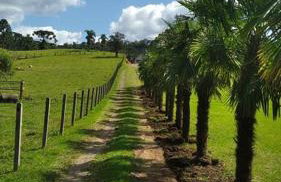 Casa de campo Serra Alta - Foto 3