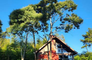 Chalé manacá da Serra - Foto 5