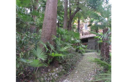 Casa Martelli - Foto 61