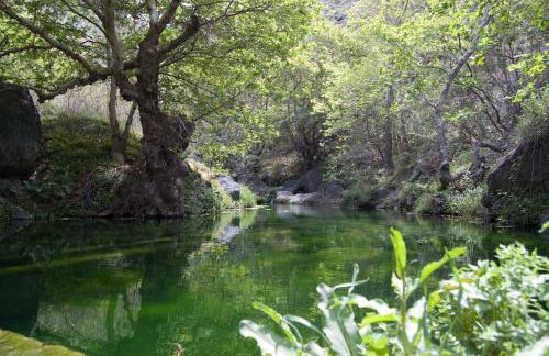 Jasmine house - Foto 49