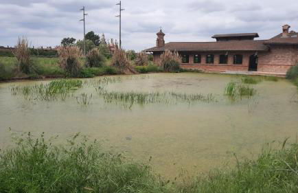 Agriturismo Fornace Certosa - Foto 38