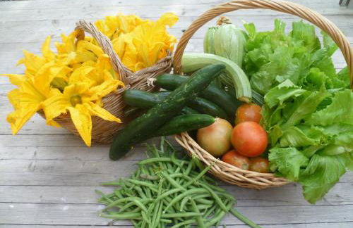 Il Granaio Grande - Foto 31