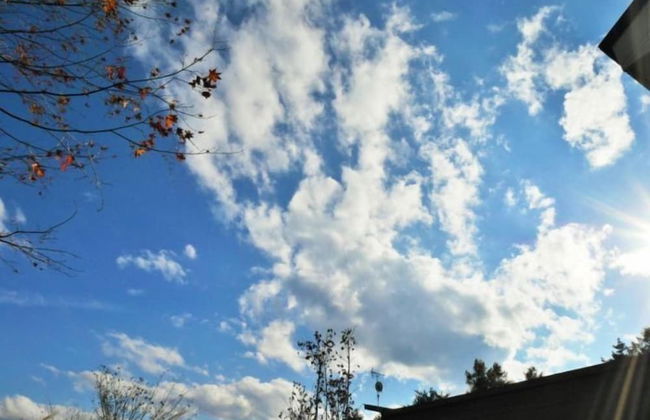 Polar Resort Nishikaruizawa 1 - Foto 21