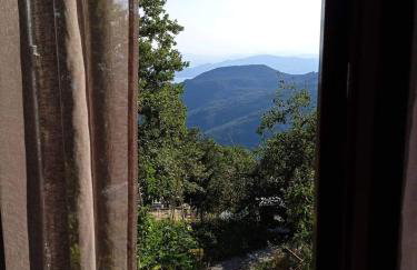 Maro's Guesthouse - Foto 28