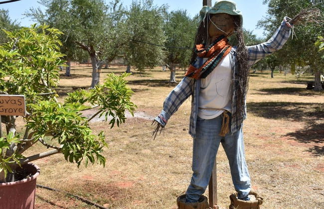 Glamping at a Lovely Tent in Skiaxtro- Marathopoli - Foto 14