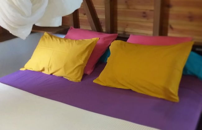 Gite Bois-Cannelle - Photo 8