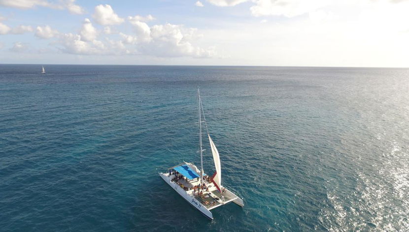 Ilha Saona e Altos de Chavón - Tour de dia inteiro - Foto 2
