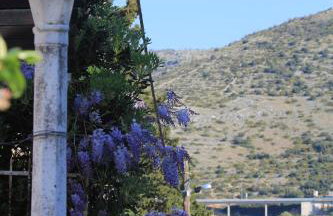 Apartment "Orangina" Sea - Nature - Relax - Ideal for Couples - Photo 7