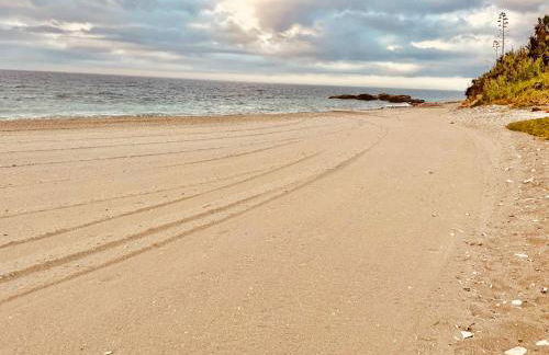 La Perla del Mar - Photo 38