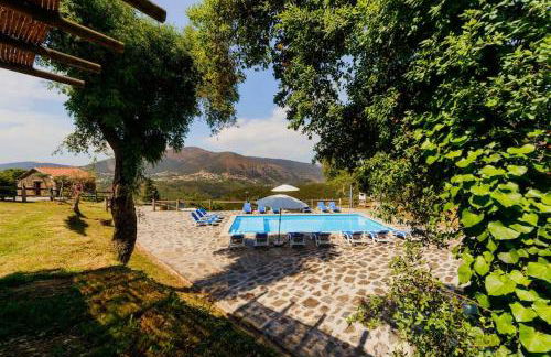 Arrabia Bunga Payva - Foto 15