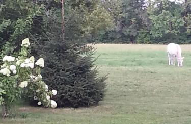 Ferienhaus Kraihof, Münchner Straße 234 - Foto 16