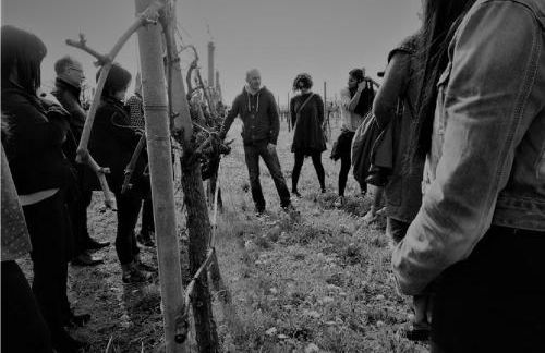 Sant'Andrea Agriturismo con cantina Martignago Vignaioli Asolo Prosecco Docg Wines - Foto 73