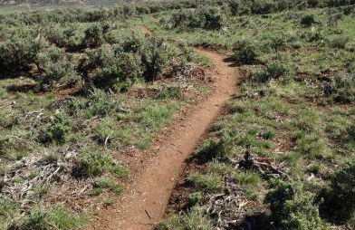 5 Bedroom - Located in Old Town Eagle - Foto 38