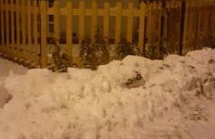 La Casa di Chicca - Photo 22