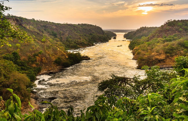 Safari de 3 días por las Cascadas Murchison - Foto 1
