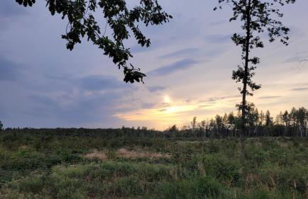 Falkenhof Meisdorf - Foto 12