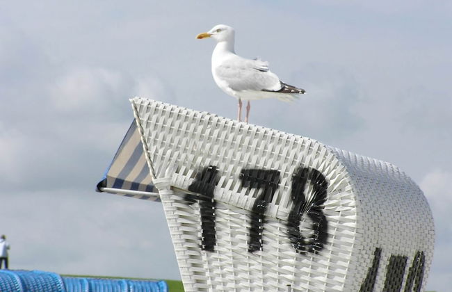 Cozy Apartment in Rerik With Sea Near - Foto 46