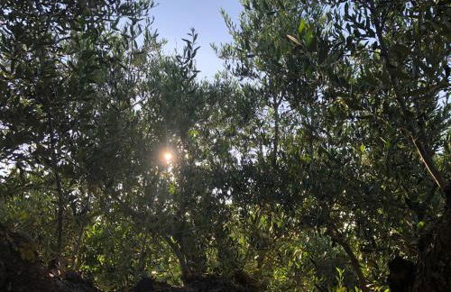 Beautiful Farm House - Foto 29