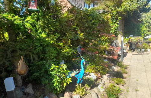 Pension Entenhausen - Foto 35