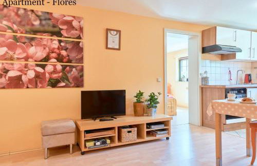 Villa Vici - Ferienwohnungen - Foto 24