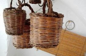 Domusfrumenti - Foto 25