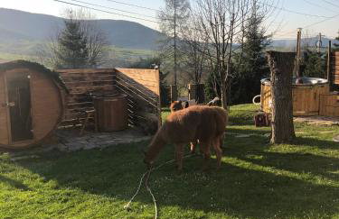 Agroturystyka Zagroda Miłkowskie - Photo 17