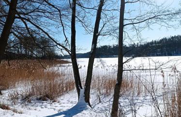 ApartDomek CICHE - Foto 44