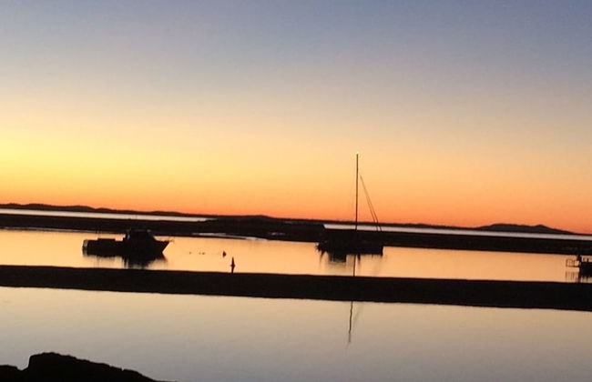 Sunbird Gardens - Foto 25