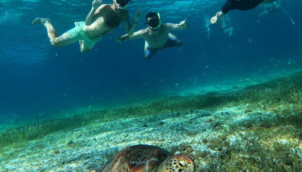 Enjoying snorkelling
