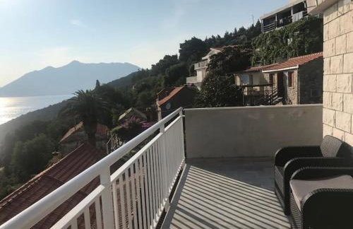 Captain Branko - Foto 14