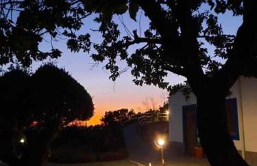 Quinta da Idalina - Foto 41