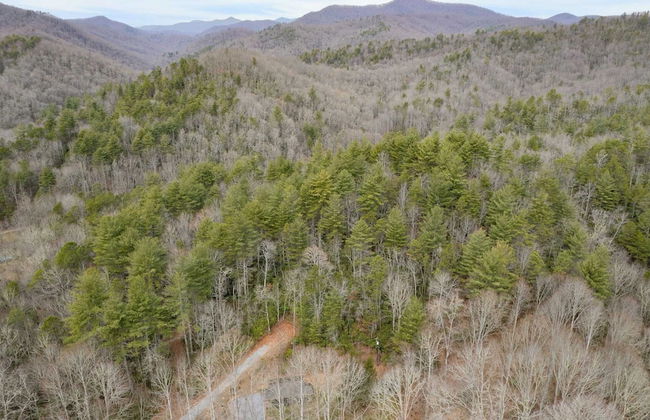Bears Place by Avantstay Cozy Mountain Cabin in Brevard + Firepit - Foto 27