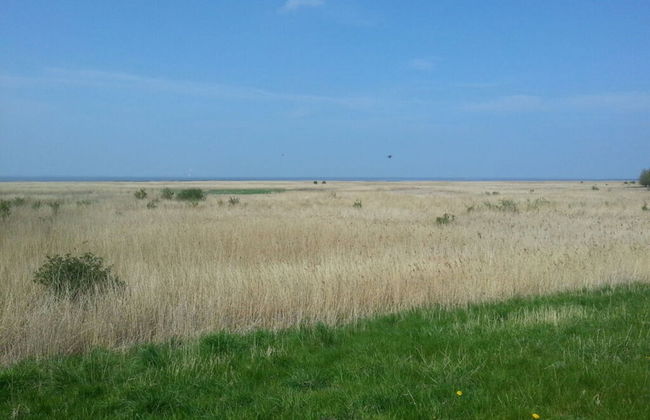 Country House at the Lighthouse - Foto 22