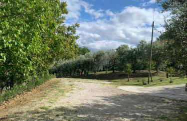 agriturismo cerquatonda - Foto 95